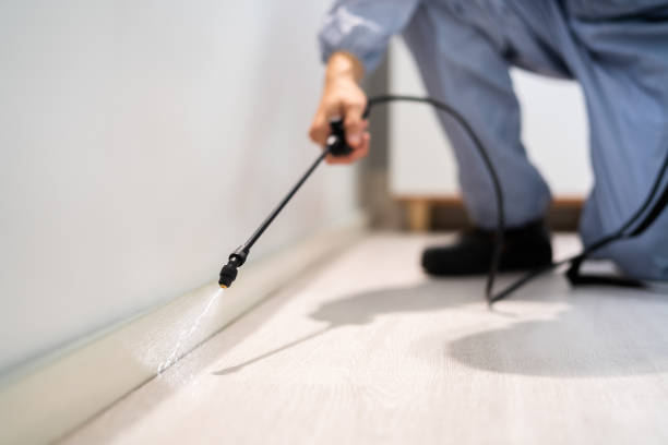 Licensed Pest Control service in Quinlan, TX - Show Me Pest Control