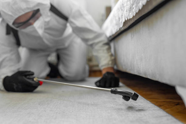 Professional Ant Control technician working in Quinlan, TX