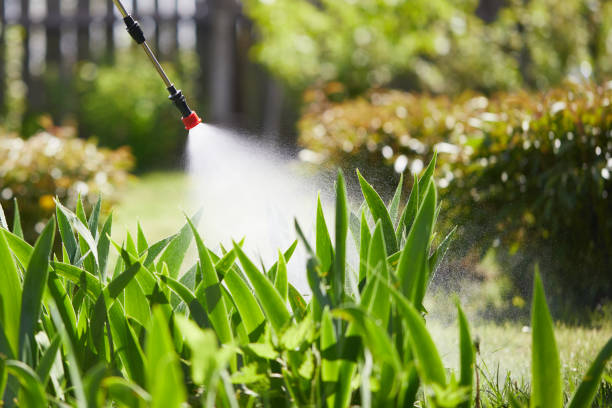 24/7 Emergency Ant Control experts in Quinlan, TX