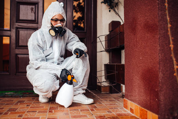 Reliable Ant Control contractor in Quinlan, TX by Show Me Pest Control